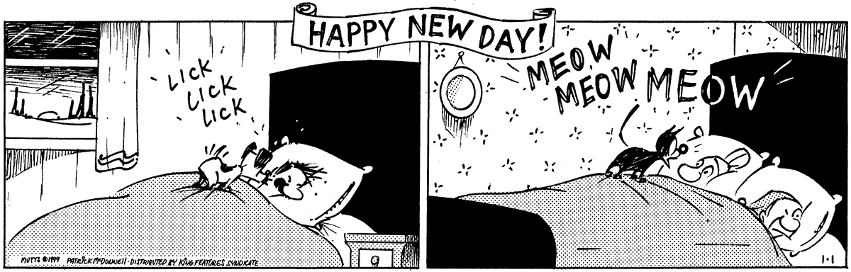 January 1 2000, Daily Comic Strip