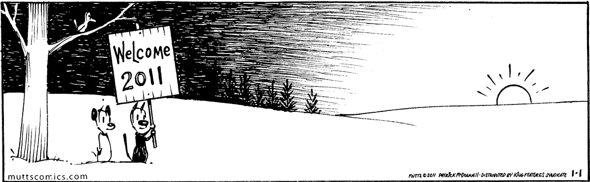 January 1 2011, Daily Comic Strip