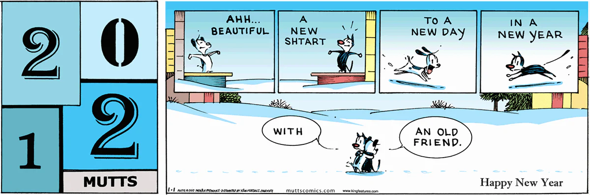 January 1 2012, Sunday Comic Strip