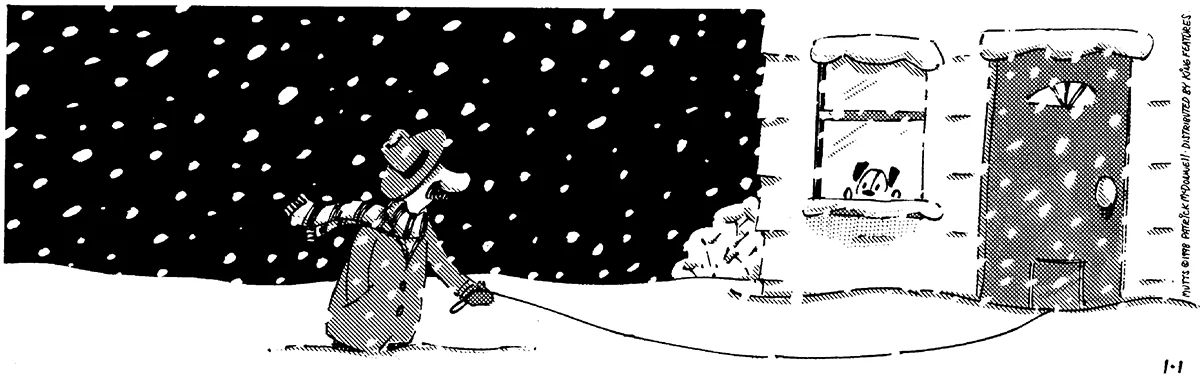 January 1 1998, Daily Comic Strip