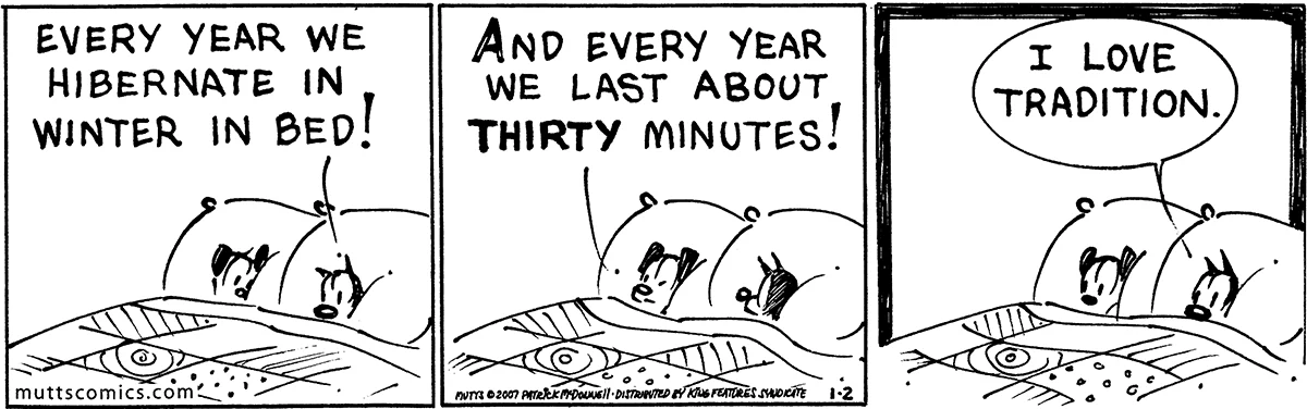 January 2 2007, Daily Comic Strip
