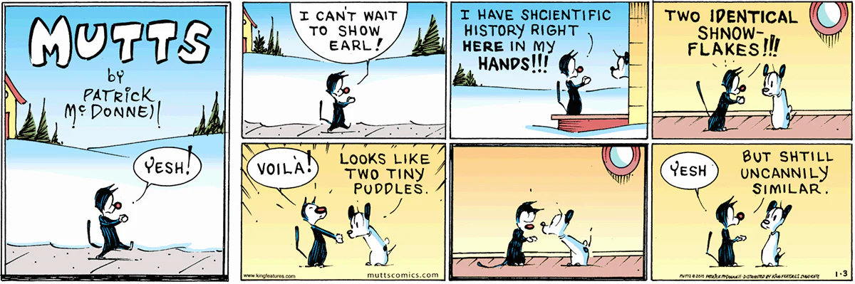 January 3 2010, Sunday Comic Strip