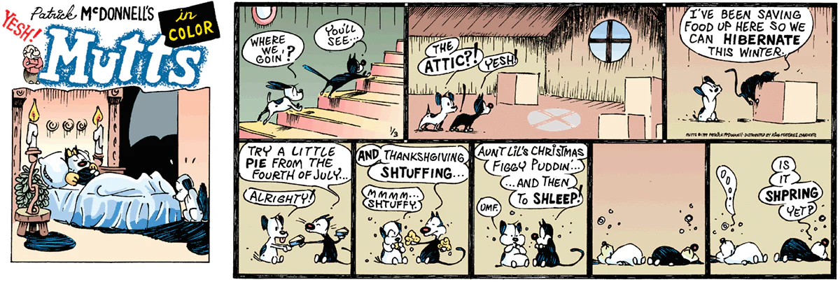 January 3 1999, Sunday Comic Strip