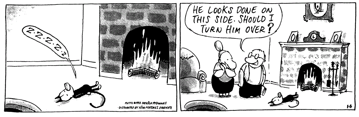 January 4 1995, Daily Comic Strip