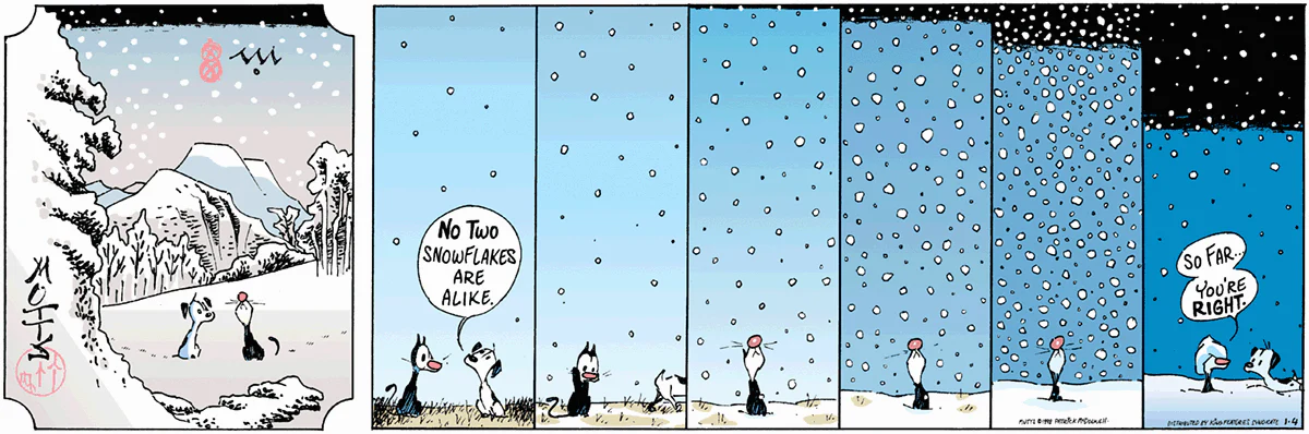 January 4 1998, Sunday Comic Strip