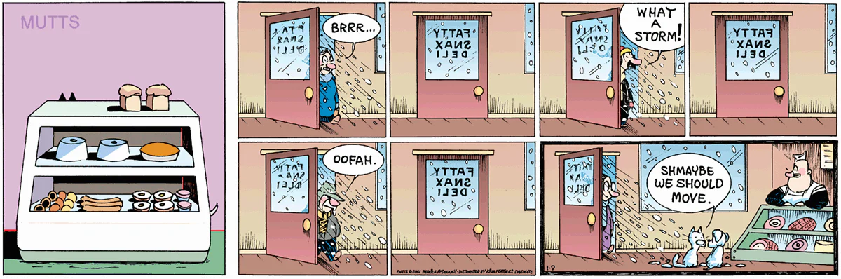 January 7 2001, Sunday Comic Strip