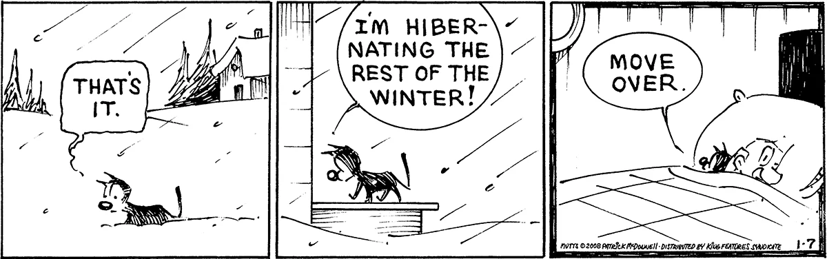 January 7 2008, Daily Comic Strip