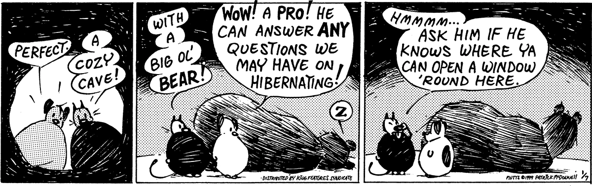 January 7 1999, Daily Comic Strip