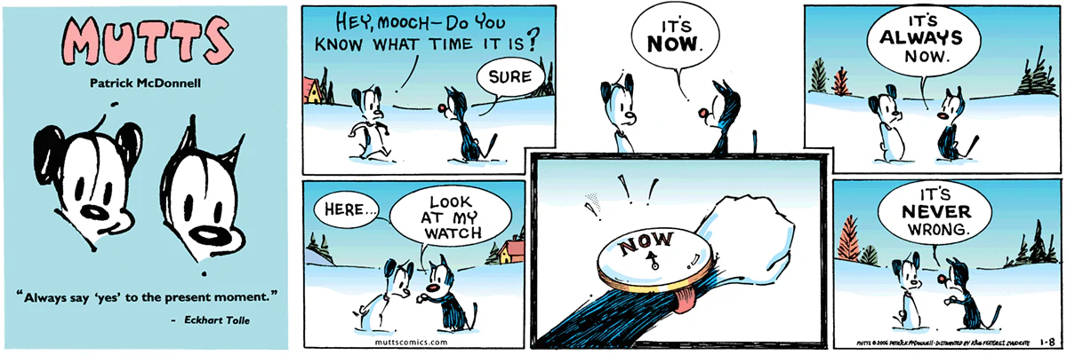 January 8 2006, Sunday Comic Strip