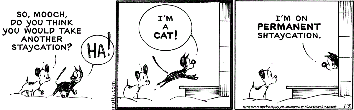 January 8 2022, Daily Comic Strip