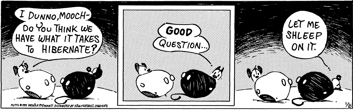January 8 1999, Daily Comic Strip