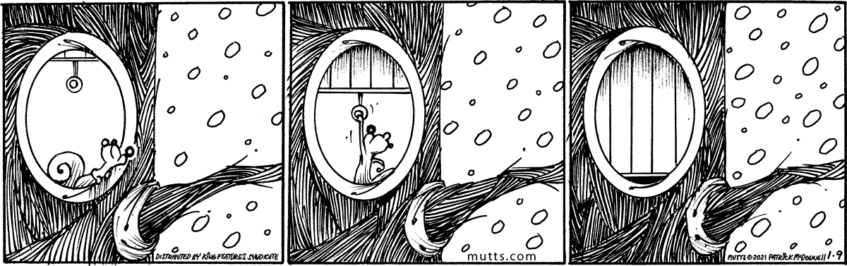 January 9 2021, Daily Comic Strip