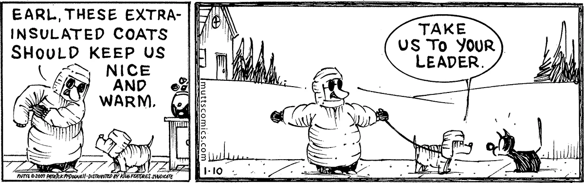 January 10 2009, Daily Comic Strip