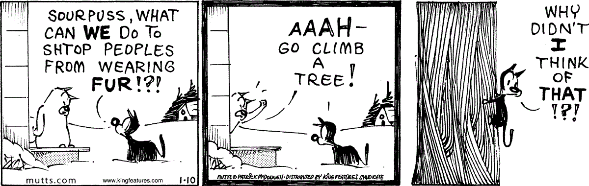 January 10 2024, Daily Comic Strip