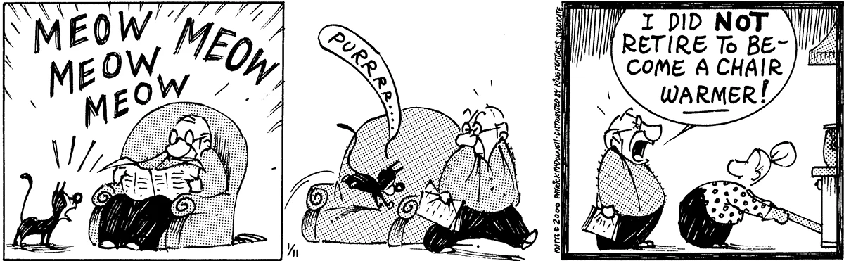 January 11 2000, Daily Comic Strip