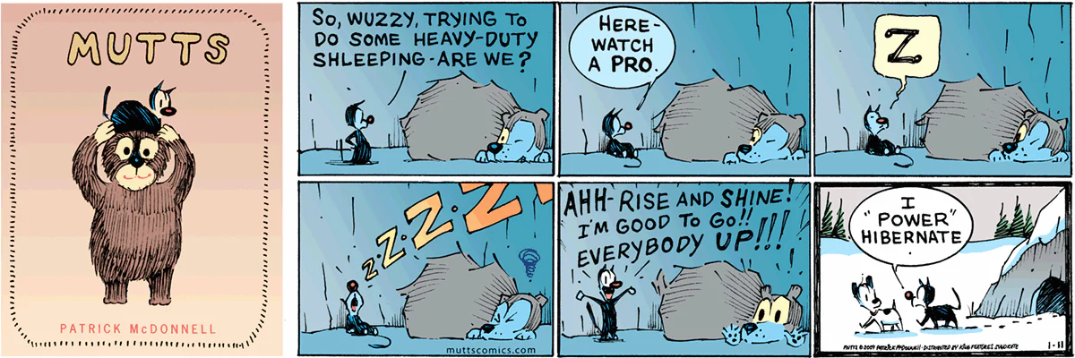 January 11 2009, Sunday Comic Strip