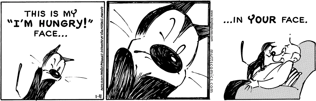 January 11 2014, Sunday Comic Strip