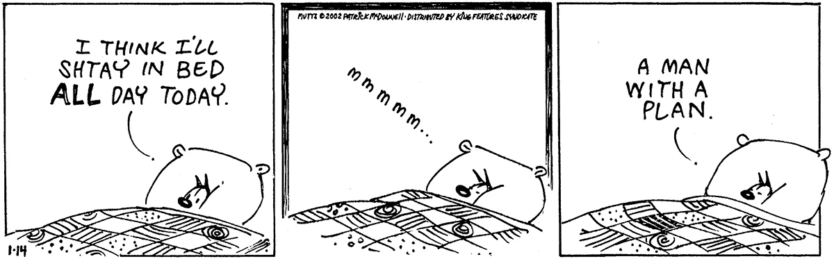 January 14 2002, Daily Comic Strip