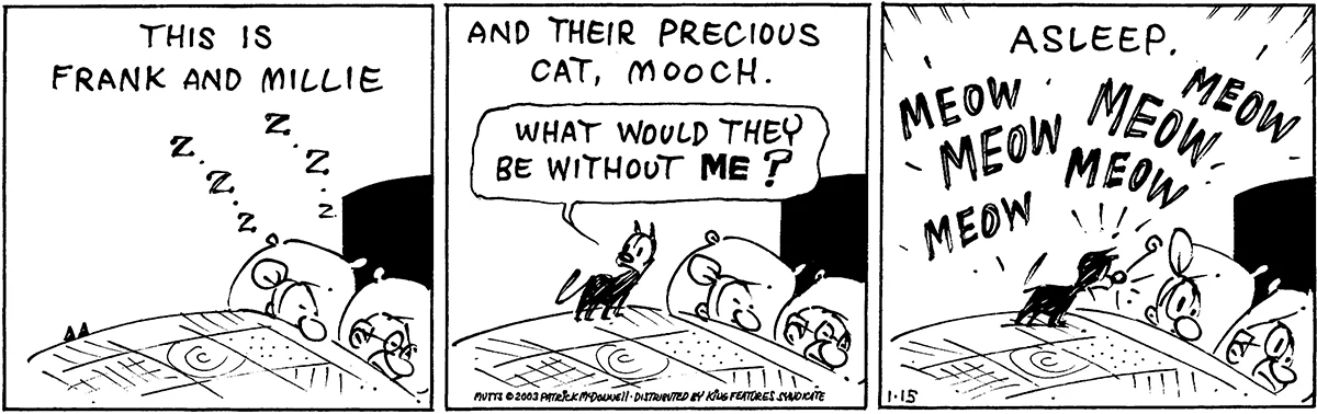 January 15 2003, Daily Comic Strip