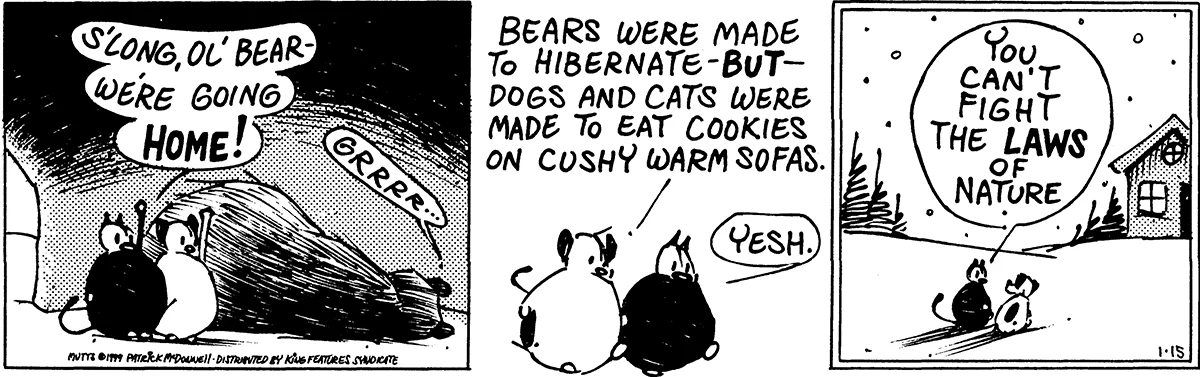 January 15 1999, Daily Comic Strip