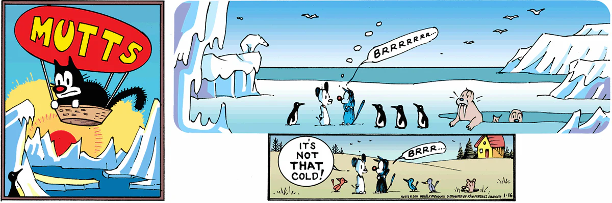January 16 2011, Sunday Comic Strip
