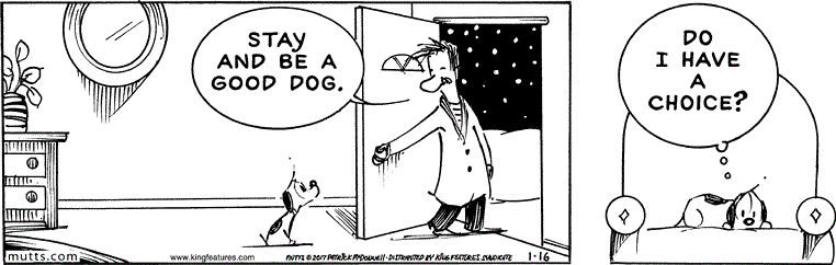 January 16 2017, Daily Comic Strip