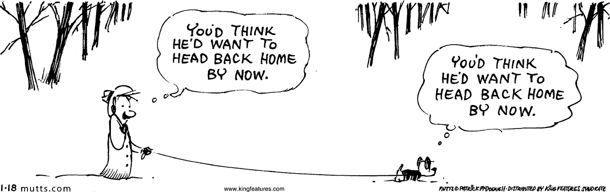 January 18 2024, Daily Comic Strip