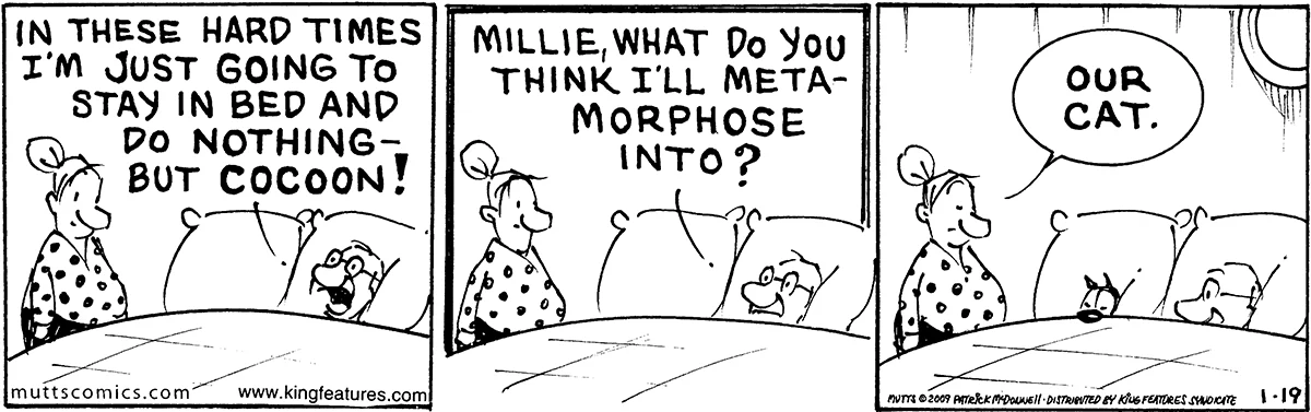 January 19 2009, Daily Comic Strip