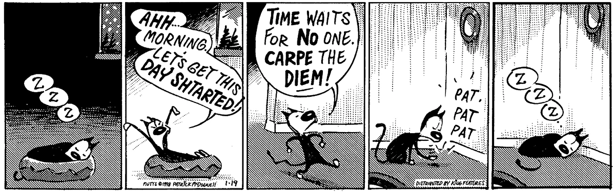 January 19 1998, Daily Comic Strip