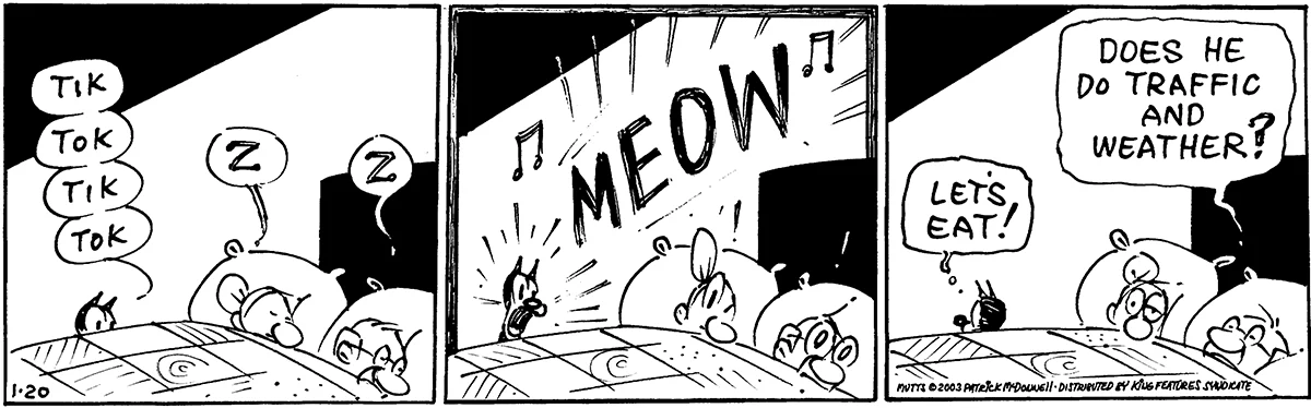 January 20 2003, Daily Comic Strip