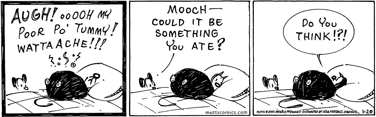 January 20 2005, Daily Comic Strip