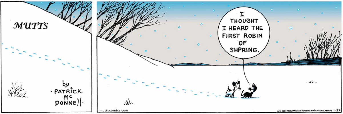 January 20 2013, Sunday Comic Strip