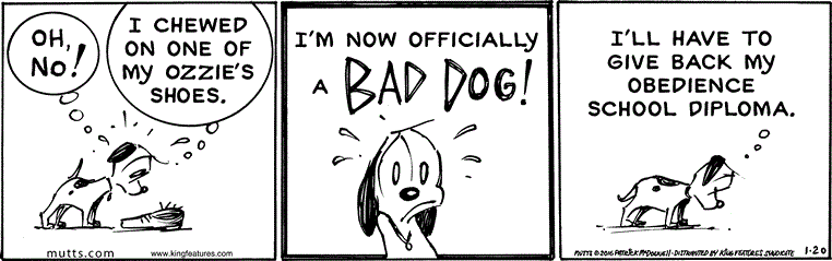 January 20 2016, Daily Comic Strip