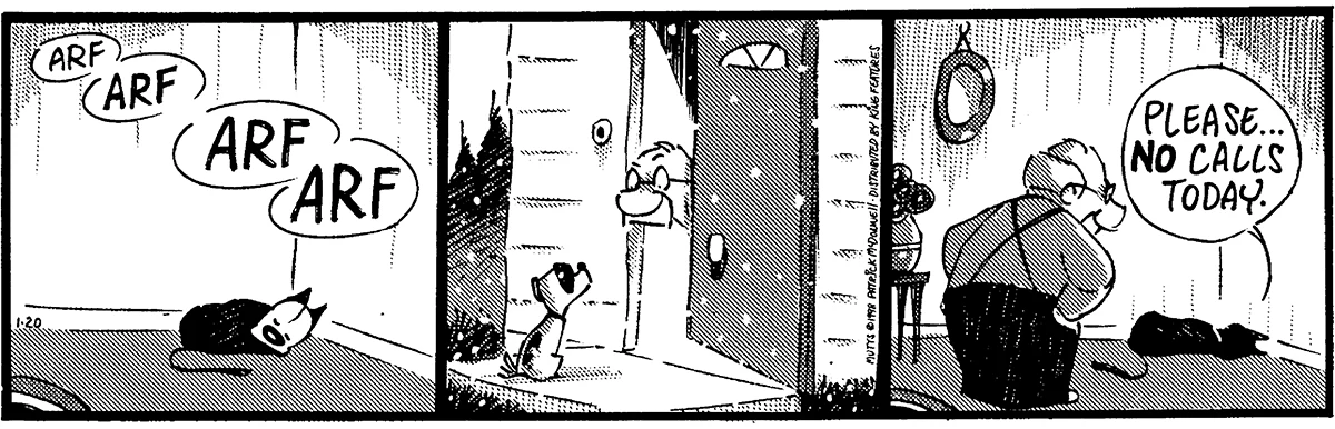 January 20 1998, Daily Comic Strip