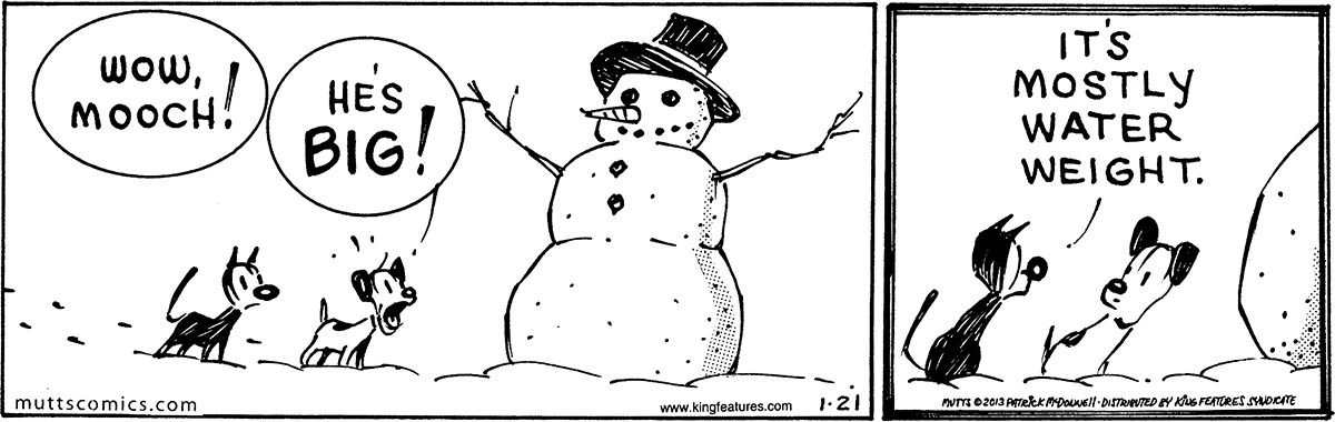 January 21 2013, Daily Comic Strip