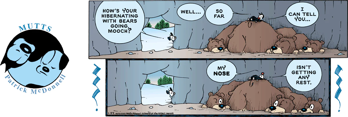 January 24 2021, Sunday Comic Strip