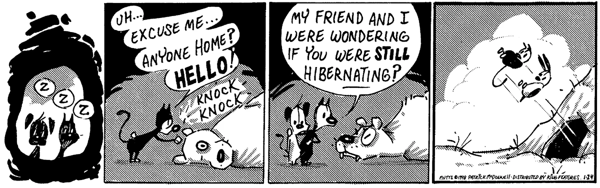January 24 1998, Daily Comic Strip