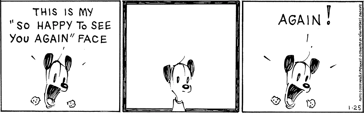January 25 2008, Daily Comic Strip