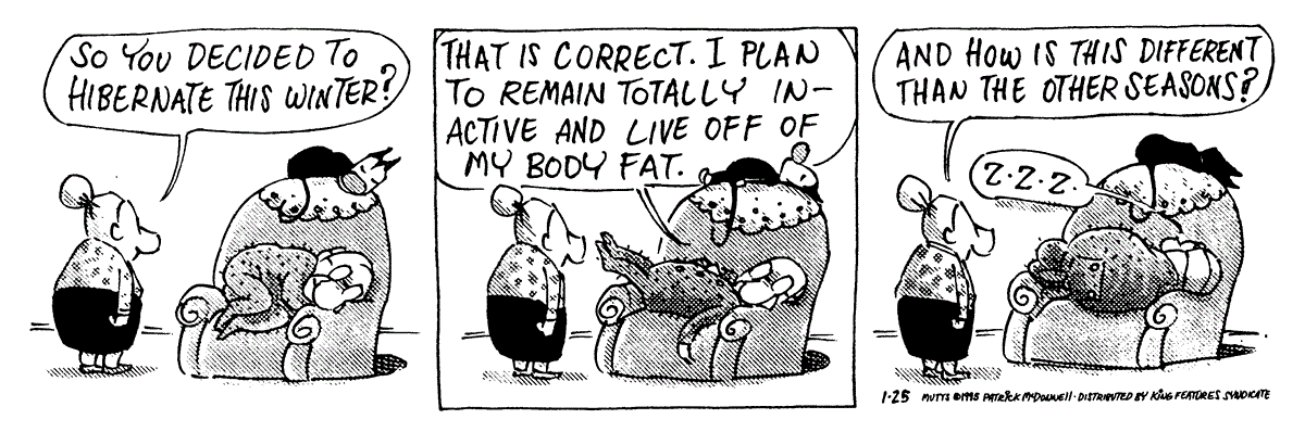 January 25 1995, Daily Comic Strip