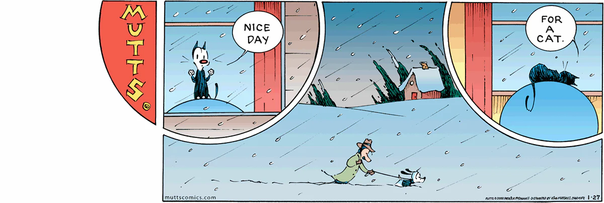 January 27 2008, Sunday Comic Strip