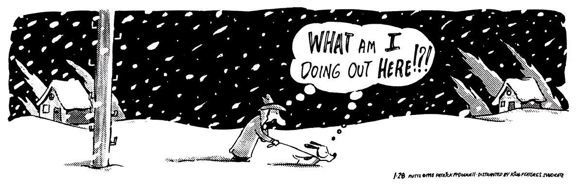 January 28 1995, Daily Comic Strip