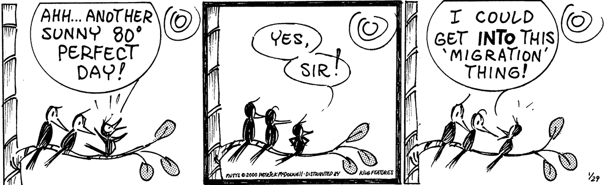January 29 2000, Daily Comic Strip