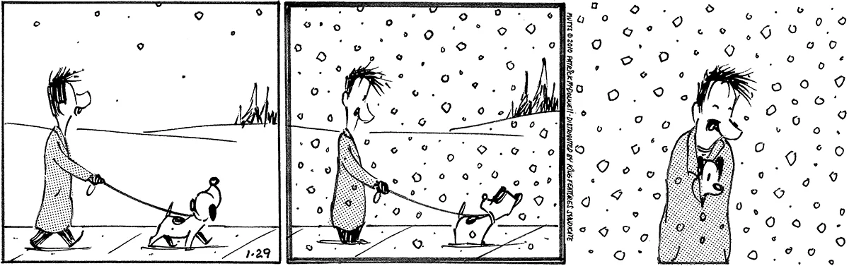 January 29 2010, Daily Comic Strip