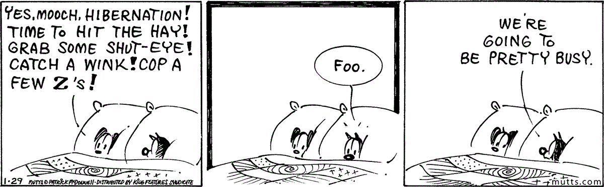 January 29 2024, Daily Comic Strip