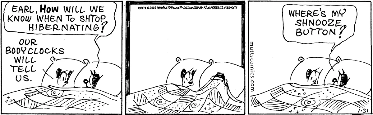 January 31 2003, Daily Comic Strip