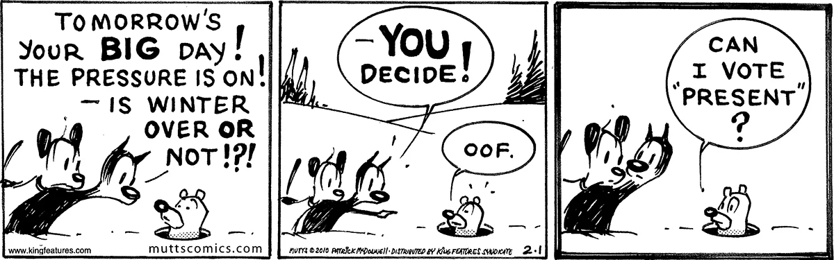 February 1 2010, Daily Comic Strip