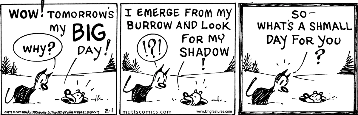 February 1 2013, Daily Comic Strip