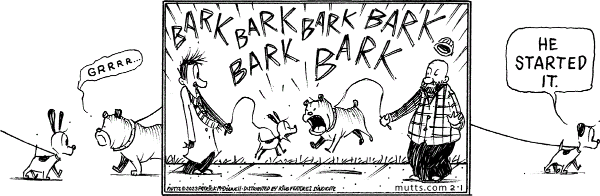February 1 2023, Daily Comic Strip