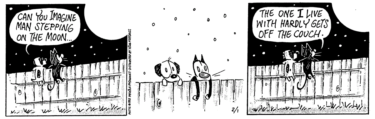 February 1 1995, Daily Comic Strip