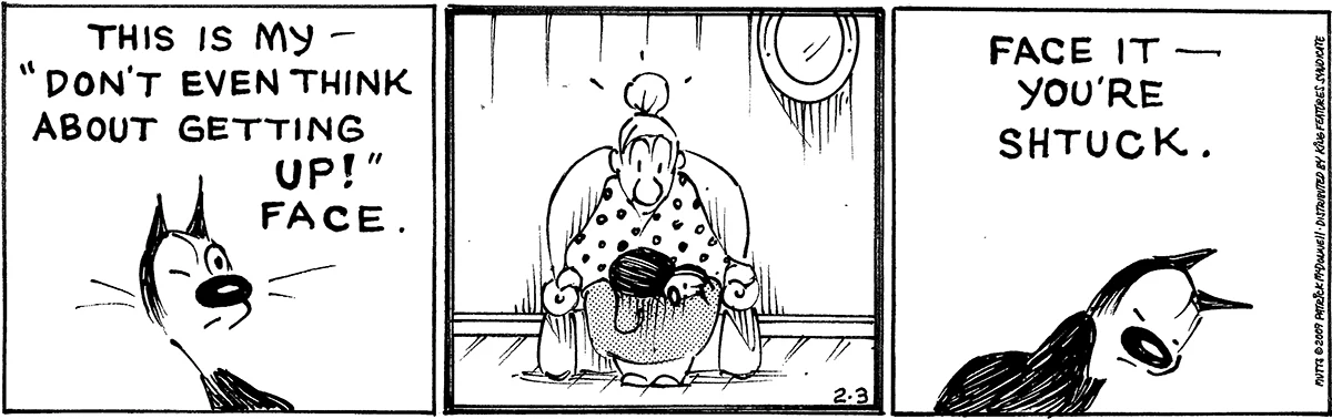February 3 2009, Daily Comic Strip